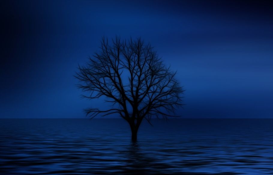 The power of the sea, the beauty of poetry